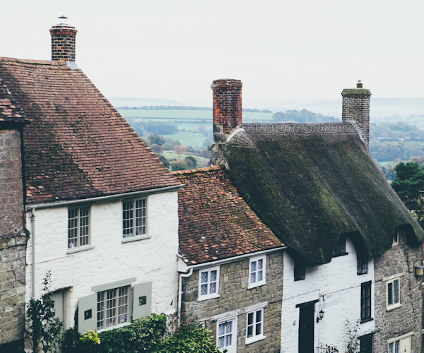 Roof type chimney sweep website design